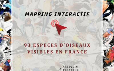 Mapping Interactif – 93 oiseaux visibles en France